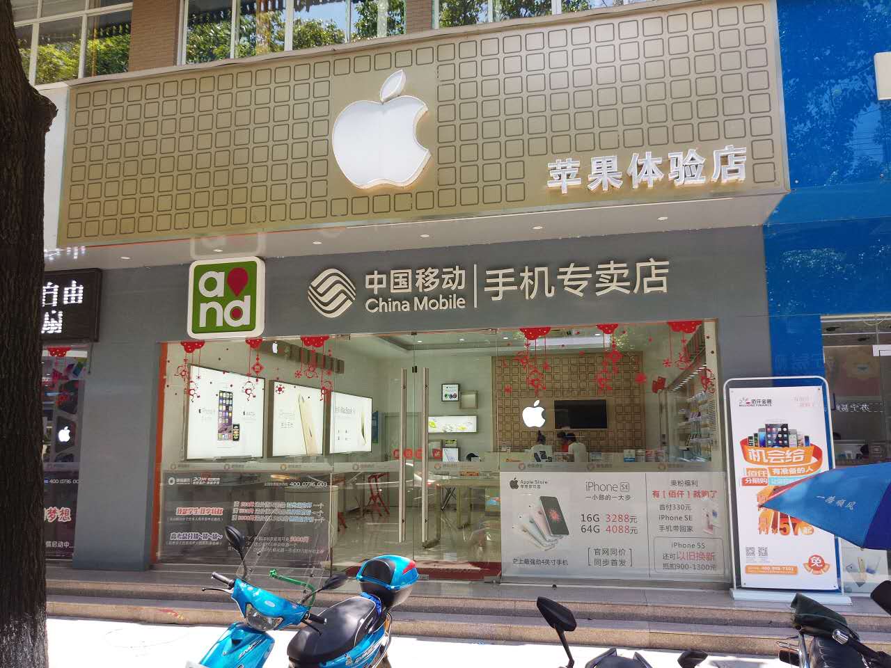 桃源苹果专卖店